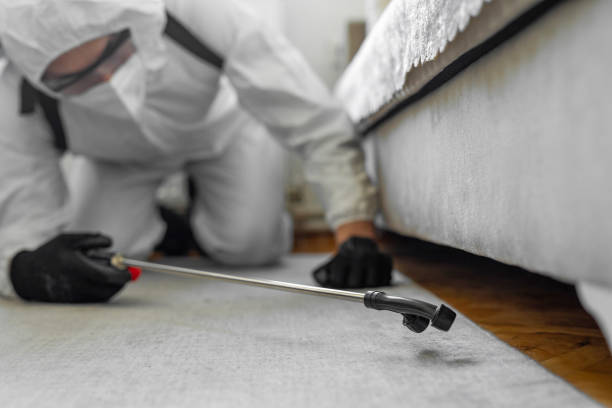 Professional Termite Control technician working in Kaukauna, WI