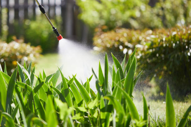 24/7 Emergency Termite Control experts in Kaukauna, WI