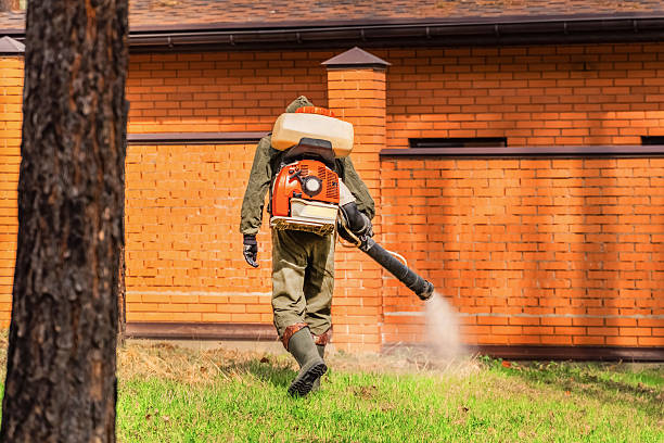 Top rated local Termite Control specialists in Kaukauna, WI